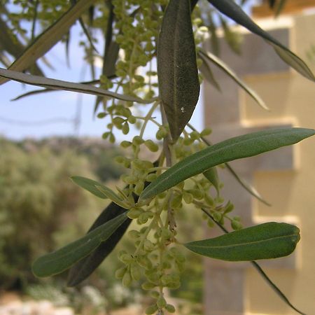 Stratos Villas Kaloniktis Bagian luar foto