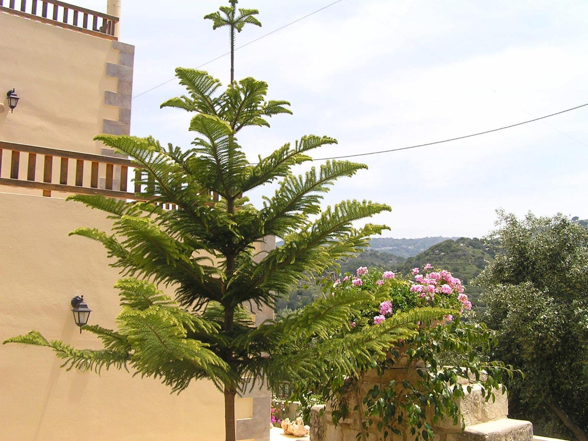 Stratos Villas Kaloniktis Bagian luar foto
