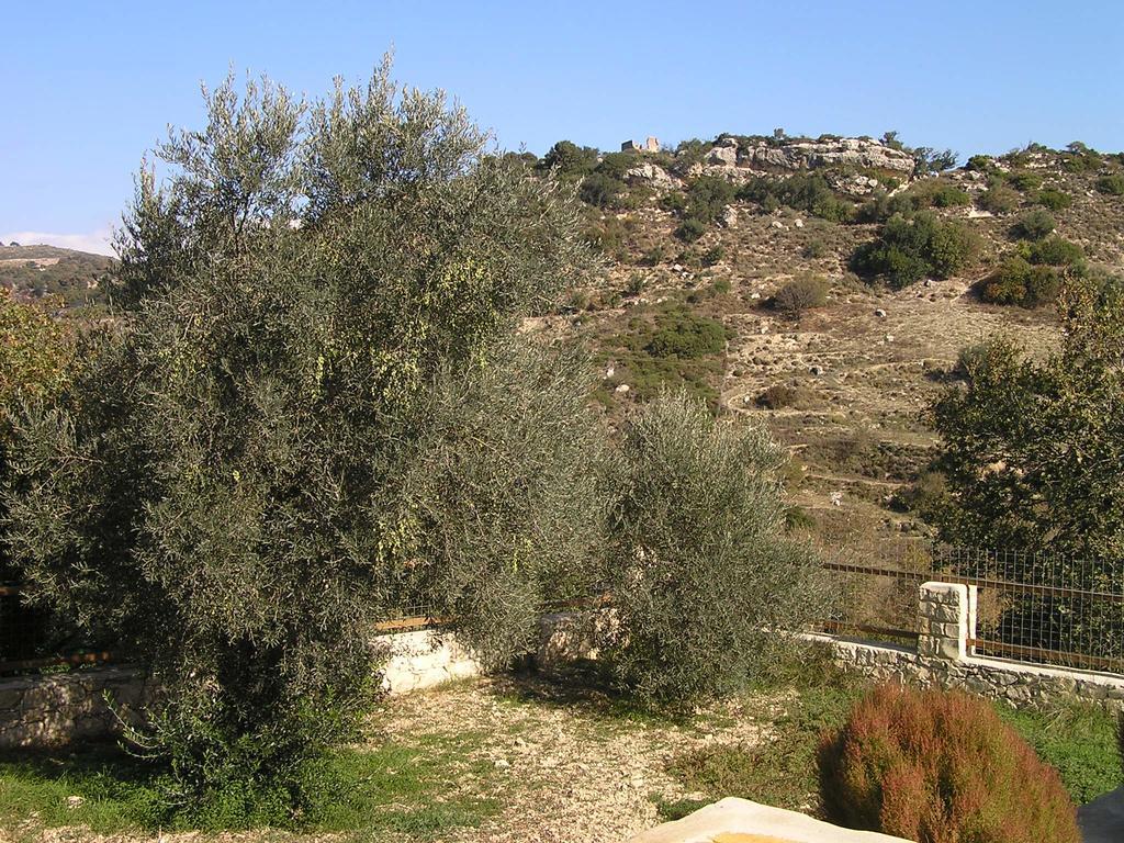 Stratos Villas Kaloniktis Bagian luar foto